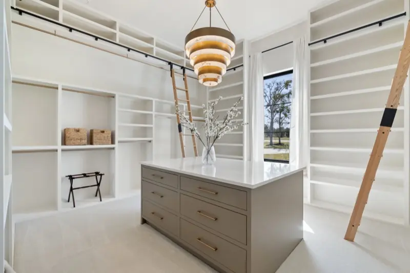 Walk-in closet with library ladder